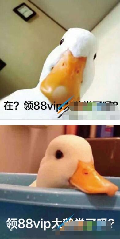 QQ截图20220217133811.jpg