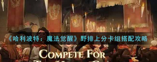 《哈利波特：魔法觉醒》野排上分卡组搭配攻略