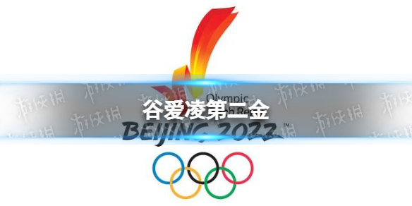 谷爱凌第二金 谷爱凌第二金是什么项目