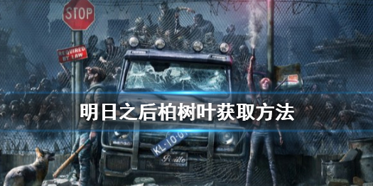 明日之后柏树叶怎么得 明日之后柏树叶获取方法