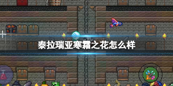 泰拉瑞亚寒霜之花怎么样 泰拉瑞亚寒霜之花图鉴介绍