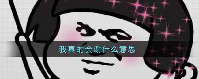 我真的会谢什么意思