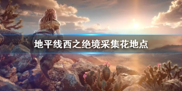 《地平线西之绝境》采花地点有哪些 游戏内采集花位置介绍
