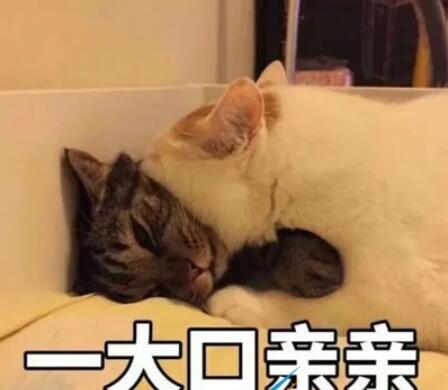 QQ截图20220221103628.jpg