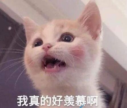 QQ截图20220222144256.jpg