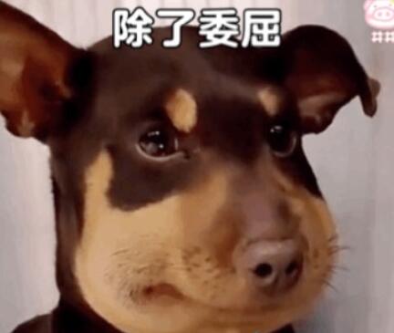 QQ截图20220222145134.jpg