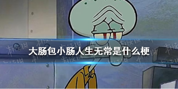 人生无常大肠包小肠是什么意思