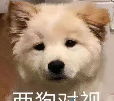 QQ截图20220223101021.jpg