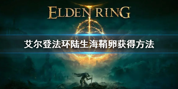 艾尔登法环陆生海鞘卵获得方法
