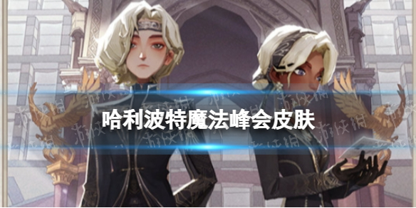 哈利波特魔法峰会皮肤怎么样 哈利波特魔法峰会皮肤介绍