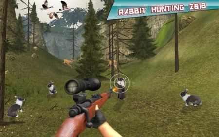 兔子狩猎挑战