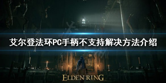 《艾尔登法环》PC手柄不支持怎么办？PC手柄不支持解决方法介绍