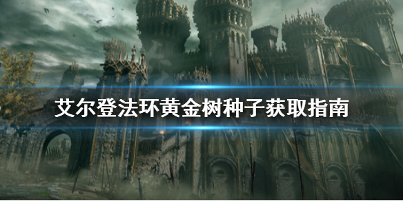 《艾尔登法环》黄金树种子去哪拿？黄金树种子获取指南