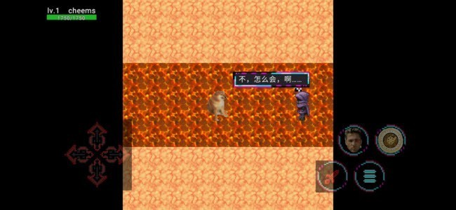 Lolo冒险2游戏秘籍汇总