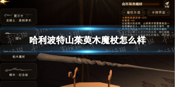 哈利波特山茱萸木魔杖怎么样 哈利波特山茱萸木魔杖效果介绍