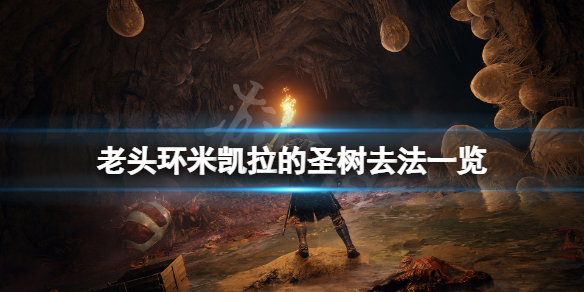 《艾尔登法环》米凯拉的圣树怎么去？米凯拉的圣树去法一览