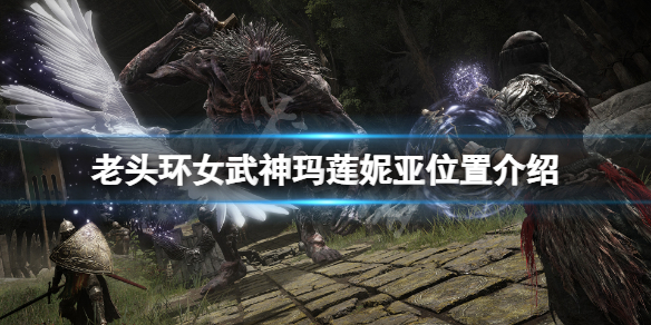 《艾尔登法环》女武神在哪？女武神玛莲妮亚位置介绍