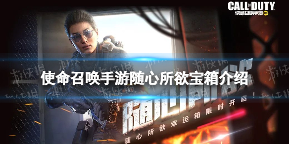 使命召唤手游随心所欲皮肤怎么样 使命召唤手游随心所欲幸运箱皮肤介绍