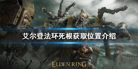 《艾尔登法环》死根如何获得？死根获取位置介绍