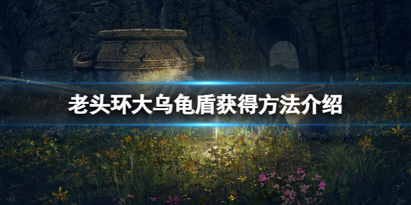 《艾尔登法环》大乌龟壳怎么拿？大乌龟盾获得方法介绍