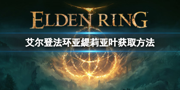 《艾尔登法环》亚緹莉亚叶如何获取？亚緹莉亚叶获取方法