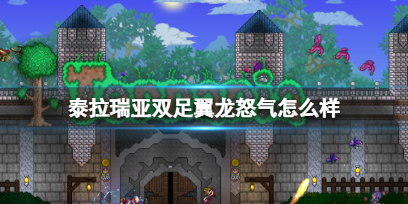 泰拉瑞亚双足翼龙怒气怎么样 泰拉瑞亚双足翼龙怒气图鉴介绍