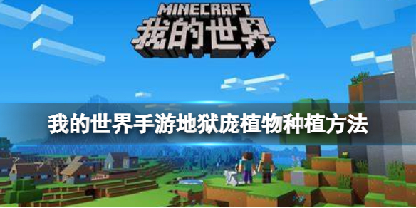 我的世界手游红地狱庞植物怎么种植 我的世界手游地狱庞植物种植方法