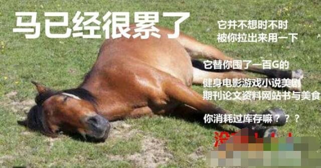 马已经很累了是什么梗