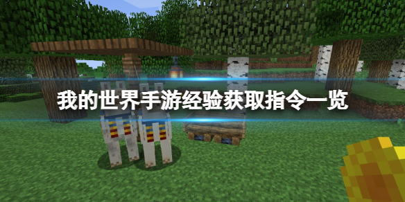 我的世界手游经验指令是什么 我的世界经验获取指令一览