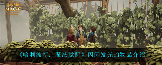 《哈利波特：魔法觉醒》闪闪发光的物品介绍