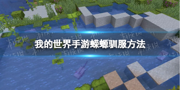我的世界手游蝾螈怎么驯服 我的世界手游蝾螈驯服方法