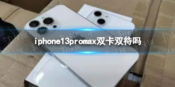 iphone13promax是双卡双待吗 苹果13promax双卡怎么装