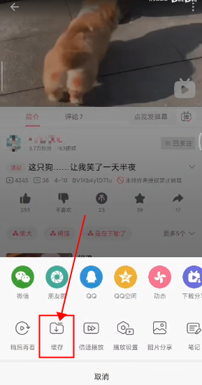 《哔哩哔哩》短视频模式视频下载方法