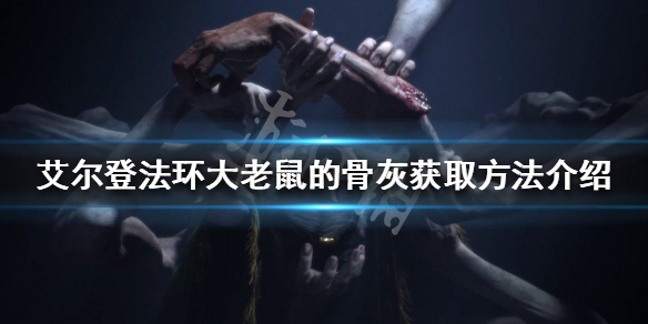 《艾尔登法环》大老鼠的骨灰如何获得？大老鼠的骨灰获取方法介绍