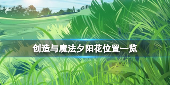 创造与魔法夕阳花在哪里 创造与魔法夕阳花位置一览