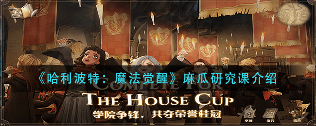 《哈利波特：魔法觉醒》麻瓜研究课介绍
