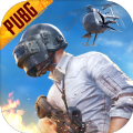 pubgmobile.cσm国际服地铁逃生体验服最新版本正式下载