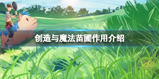 创造与魔法苗圃有什么用 创造与魔法苗圃作用介绍