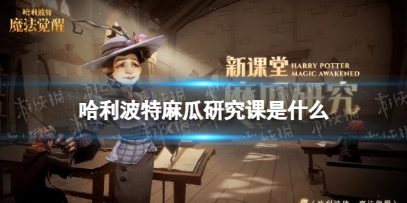 哈利波特麻瓜研究课是什么 哈利波特麻瓜研究课介绍