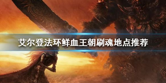 《艾尔登法环》如何快速刷魂？鲜血王朝刷魂地点推荐