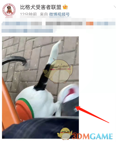 《微博》收藏视频方法