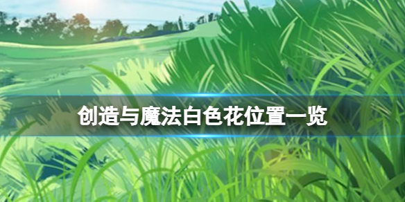 创造与魔法白色花在哪 创造与魔法白色花位置一览
