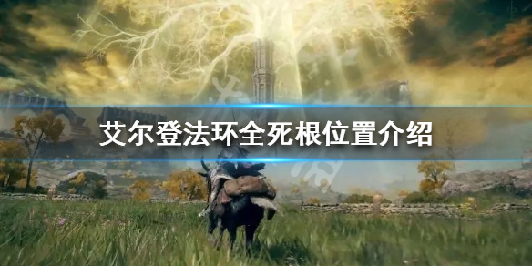 《艾尔登法环》死根如何收集？全死根位置介绍
