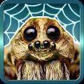 蜘蛛大乱斗游戏正式版（Spider Gagambattle）