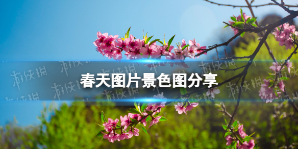 春天图片大全 春天的图片景色画