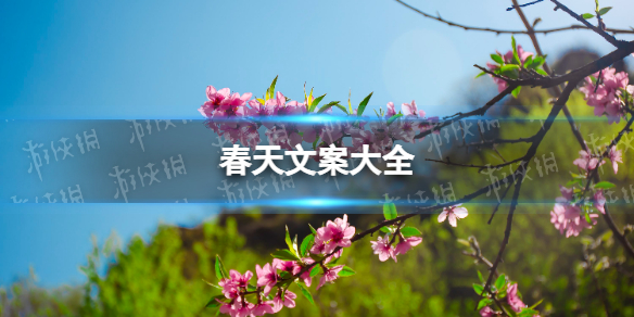 春天文案大全 春天文案朋友圈分享