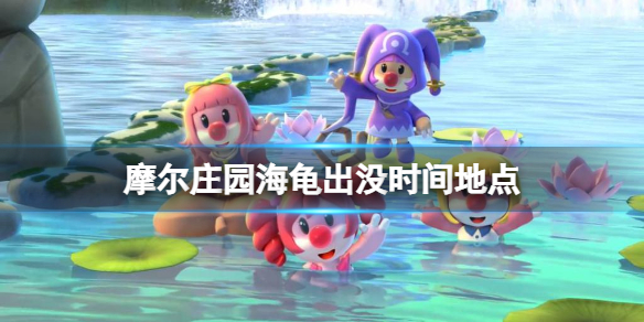 摩尔庄园海龟出没时间地点 摩尔庄园钓海龟攻略