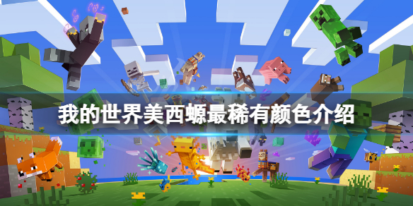 《我的世界》美西螈什么颜色最稀有？美西螈最稀有颜色介绍