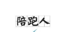 陪跑人是什么梗