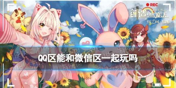 创造与魔法qq和微信能一起玩吗 qq微信区一起玩的方法